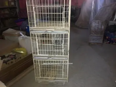 LOTE 005 - Grade, Secador, Camas e Banheira pra Cachorros