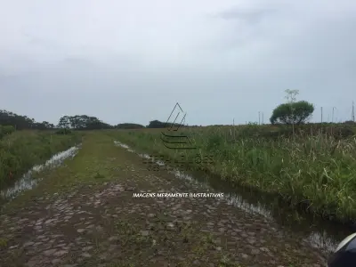 LOTE 013 - TERRENO, lote 19, da quadra 32, Novo Curumim, em Terra de Areia/RS