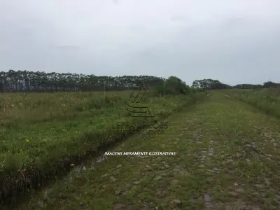 LOTE 006 - TERRENO, lote 08, da quadra 35, Novo Curumim, em Terra de Areia/RS