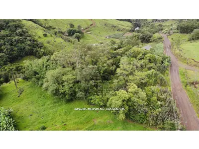 LOTE 001 - Terreno de Cultura Rural, no Alto Rio do Terra, em Três Cachoeiras/RS
