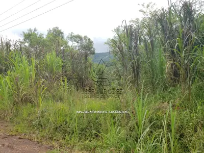 LOTE 001 - Terreno de Cultura Rural, no Alto Rio do Terra, em Três Cachoeiras/RS