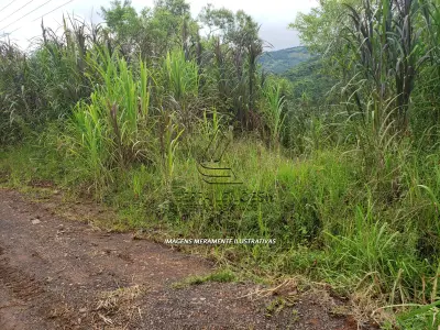 LOTE 001 - Terreno de Cultura Rural, no Alto Rio do Terra, em Três Cachoeiras/RS