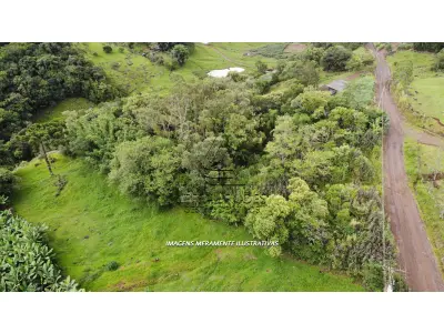 LOTE 001 - Terreno de Cultura Rural, no Alto Rio do Terra, em Três Cachoeiras/RS