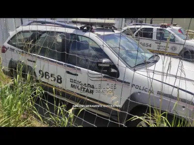 LOTE 174 - FIAT/PALIO WK ADVEN FLEX