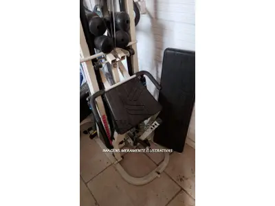 LOTE 003 - APARELHOS DE ACADEMIA