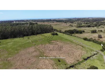 LOTE 001 - 52,27 HECTARES COM ACESSO PELA RODOVIA RS-389 (ESTRADA DO MAR), E TESTADA COM A LAGOA DA ITAPEVA, RONDINHA, ARROIO DO SAL/RS