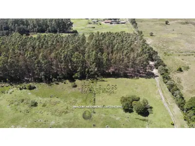 LOTE 001 - 52,27 HECTARES COM ACESSO PELA RODOVIA RS-389 (ESTRADA DO MAR), E TESTADA COM A LAGOA DA ITAPEVA, RONDINHA, ARROIO DO SAL/RS