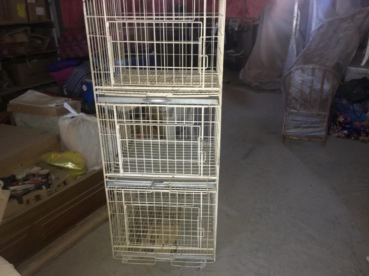 Foto 3