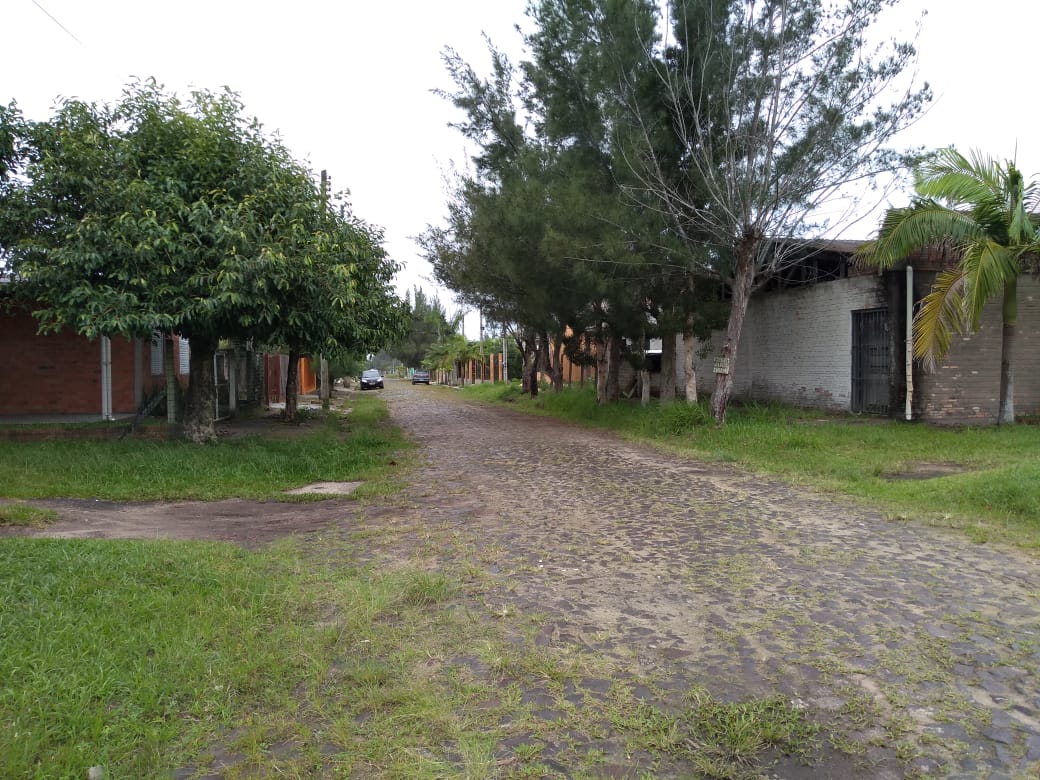 Foto 6