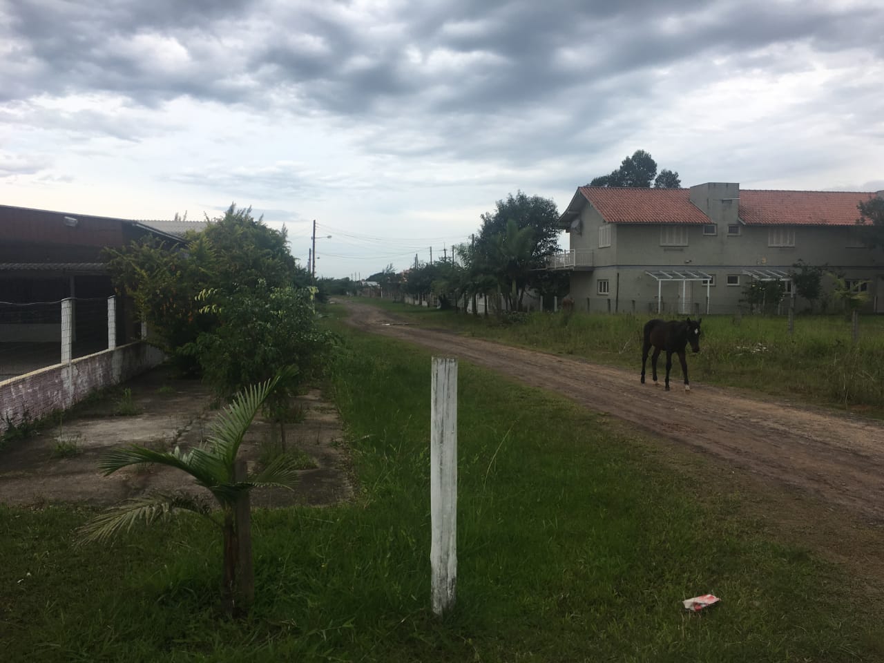 Foto 8