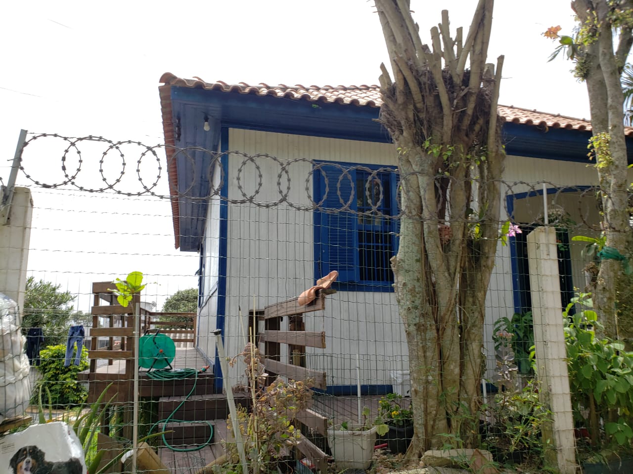 Foto 6