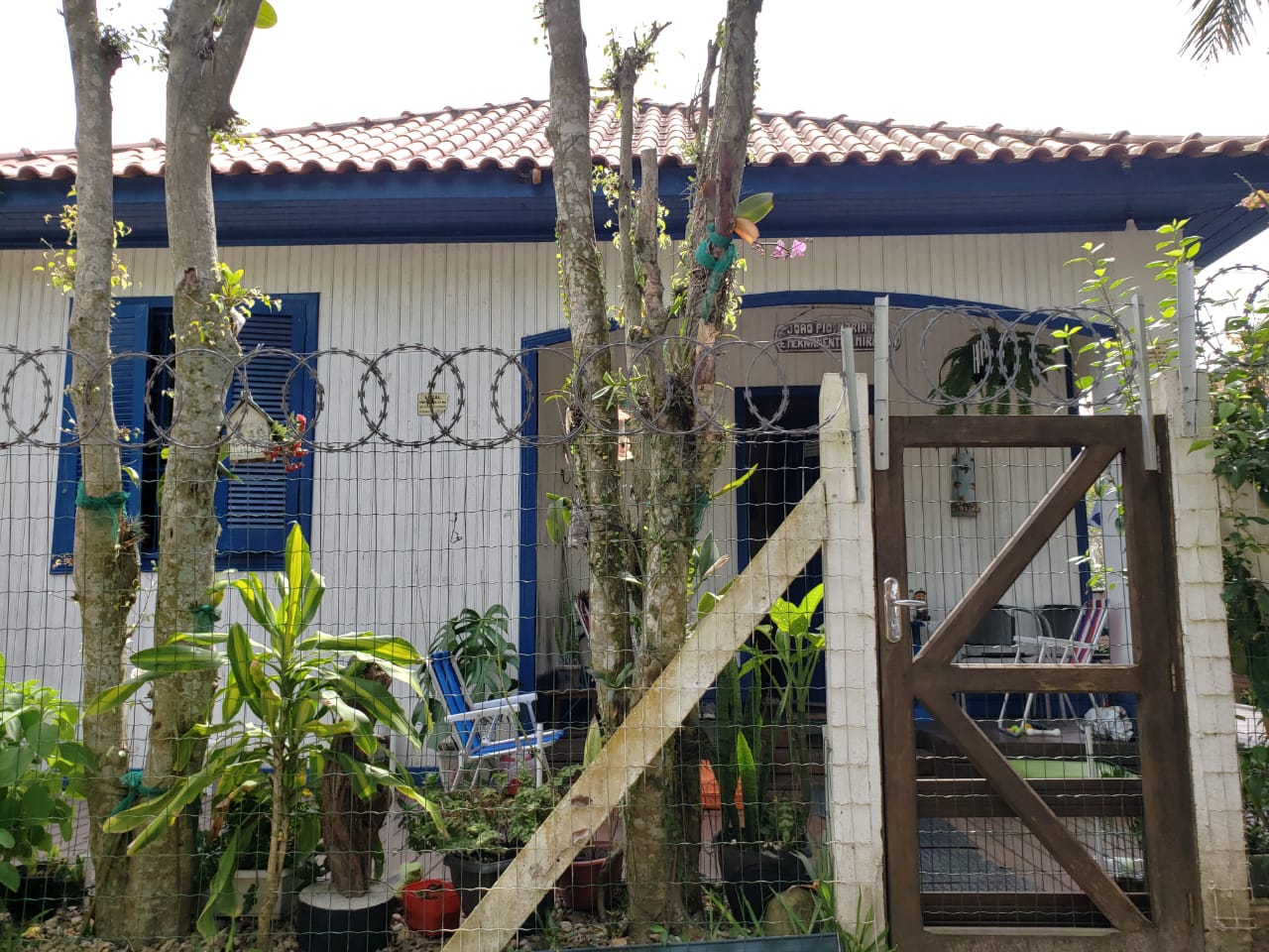 Foto 5