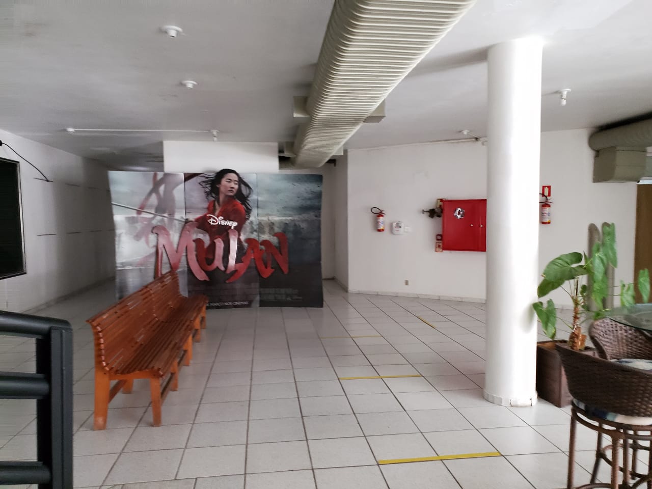 Foto 12