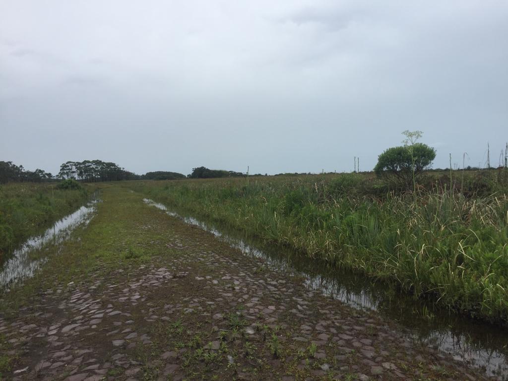 Terreno Urbano, Lote 18 Quadra 32, no loteamento Novo Curumim, em terra de areia/RS