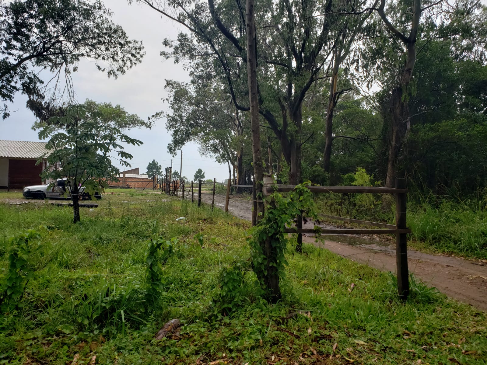 Terrenos na Praia Tupinambá, em Torres/RS
