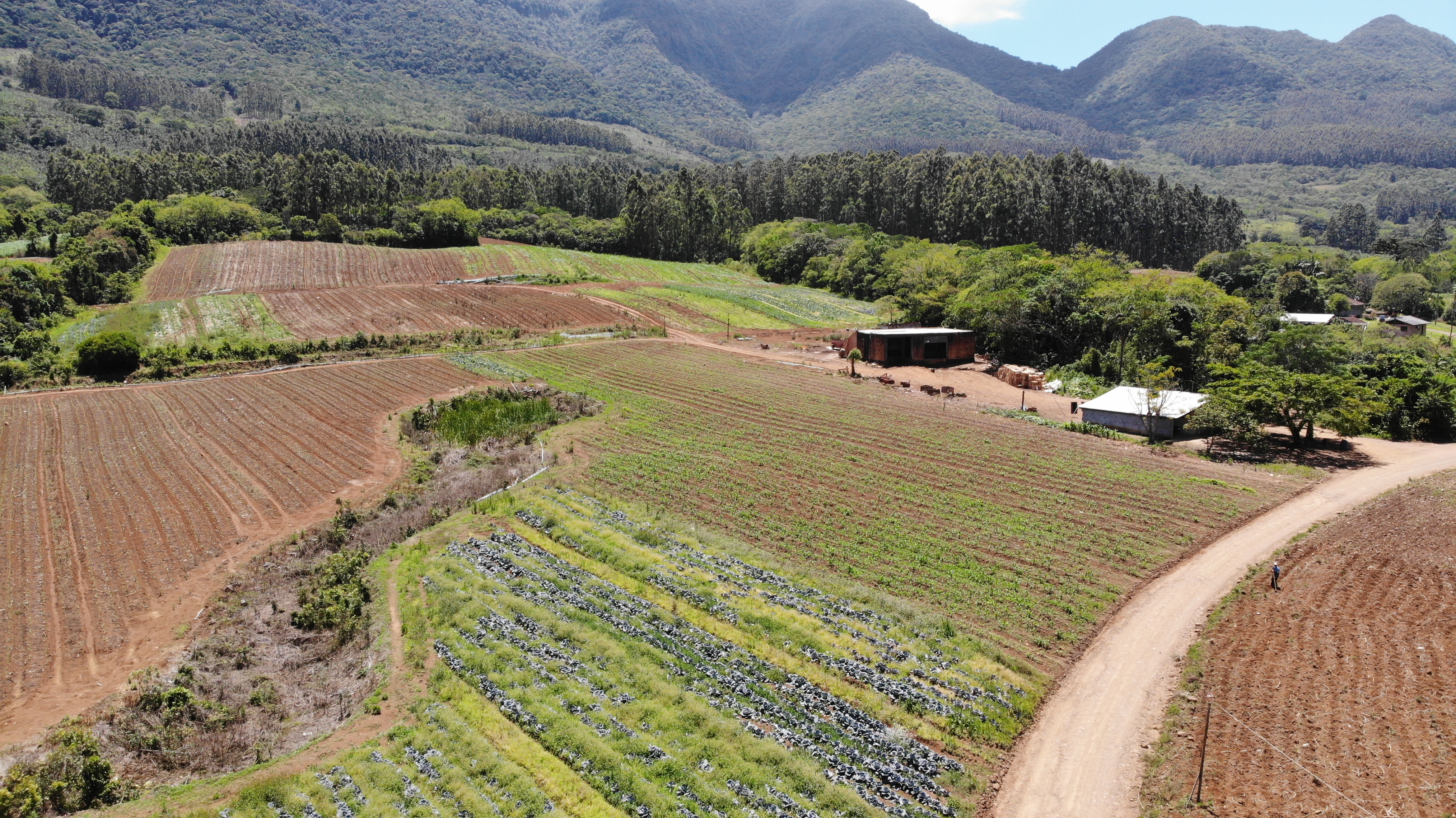Terreno Rural, com área de 215,000 m² no Lugar denominado Chapéu, em Três Forquilhas/RS