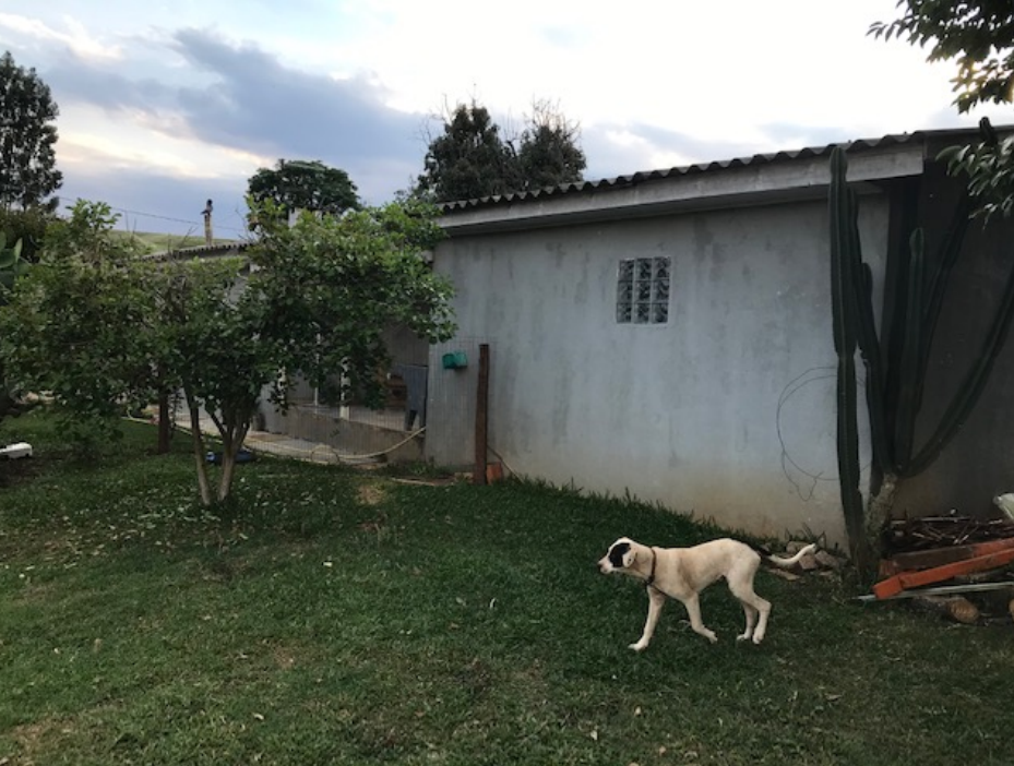Foto 12