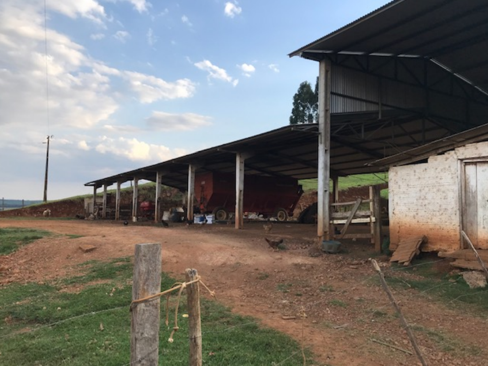 Área Rural, de 242.000,00m², na Fazenda Cruzeiro, Paiol das Telhas, em Abelardo Luz/SC