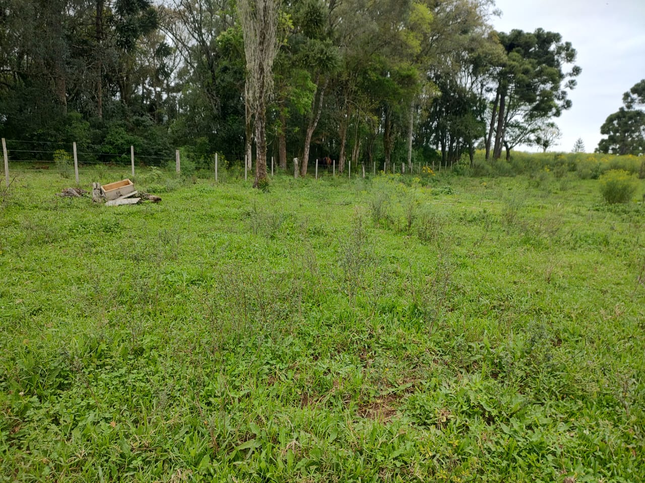 Foto 10