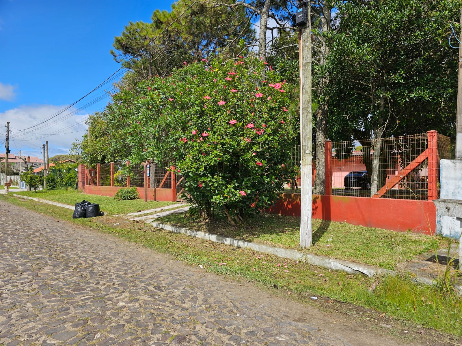 Foto 14